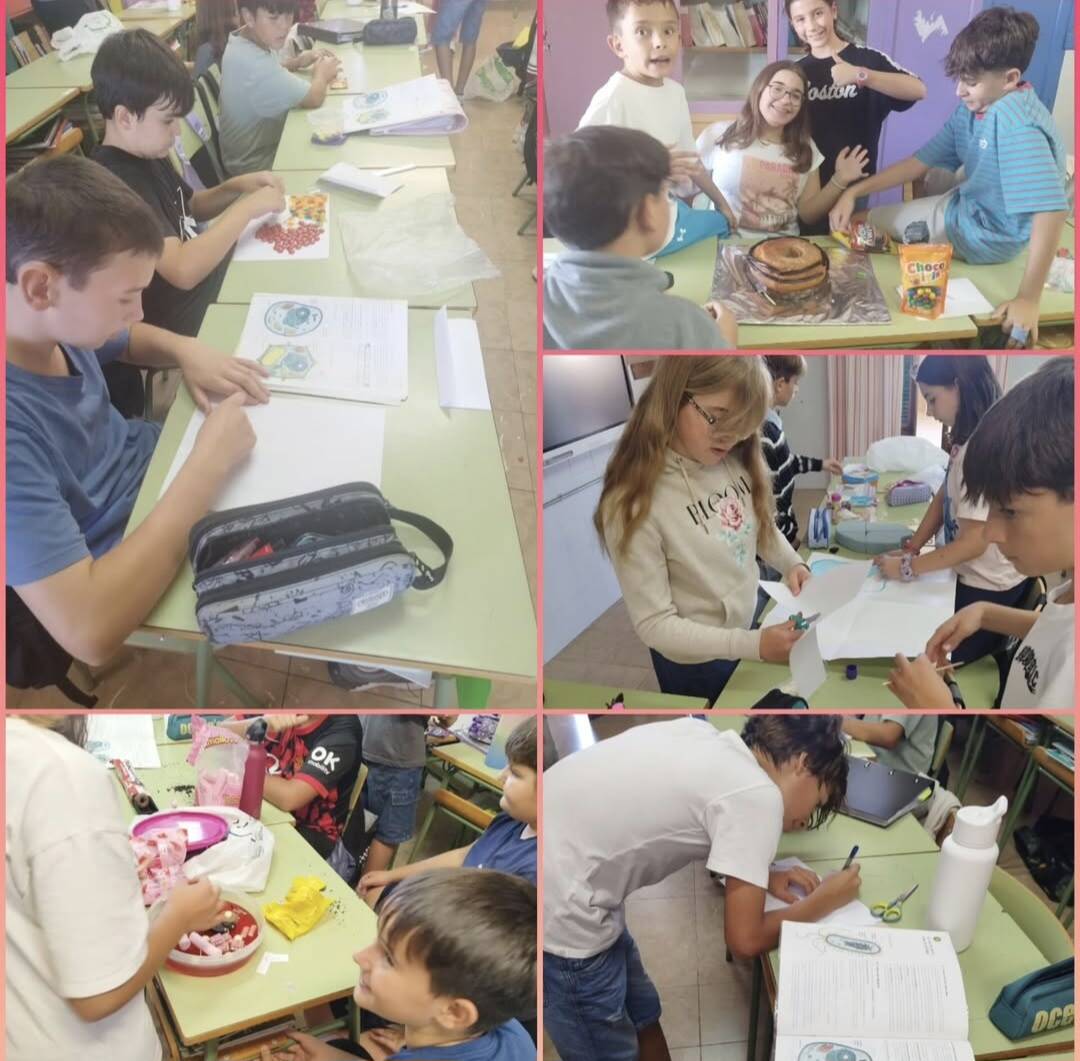 A 1R FEIM MAQUETES COMESTIBLES DE CÈL·LULES