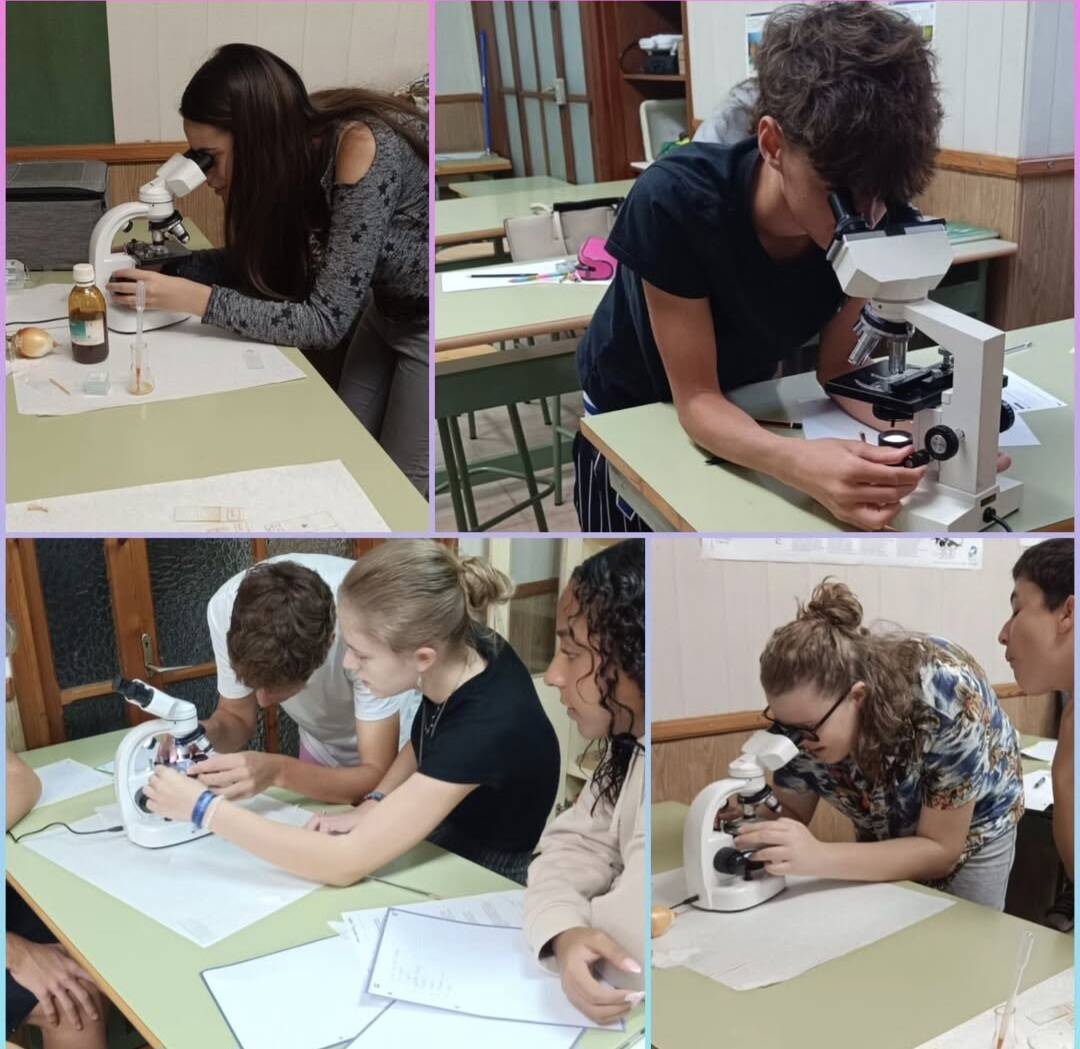 A 4T D'ESO OBSERVAM LES CÈL·LULES