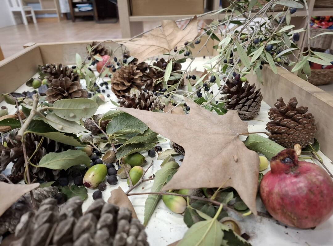 EXPERIMENTAM AMB ELEMENTS DE LA TARDOR A 4T D'INFANTIL