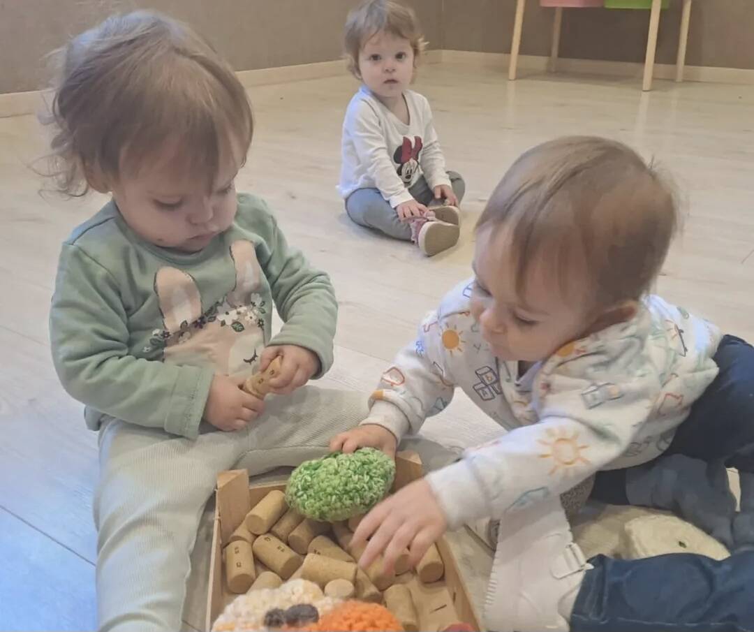 ACTIVITATS DE TARDOR