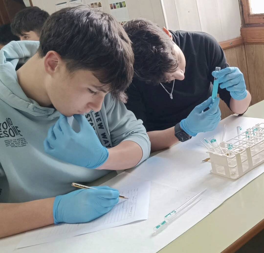 A CIÈNCIES EXPERIMENTALS D'ESO FEIM REACCIONS QUÍMIQUES