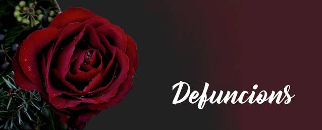 App Guia Balaguer.. Serveis turístics Balaguer Lleida