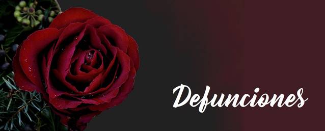 App Guia Balaguer.. Servicios turísticos Balaguer Lleida