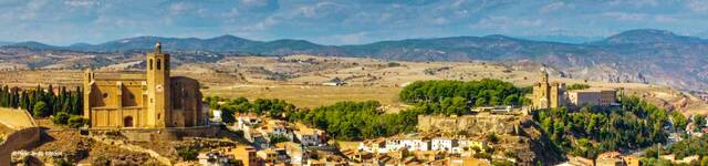 App Guia Balaguer.. Servicios turísticos Balaguer Lleida