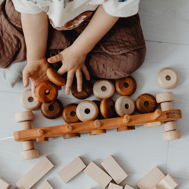 PSICÒLEG/A COMPLEMENTÀRIA CDIAP