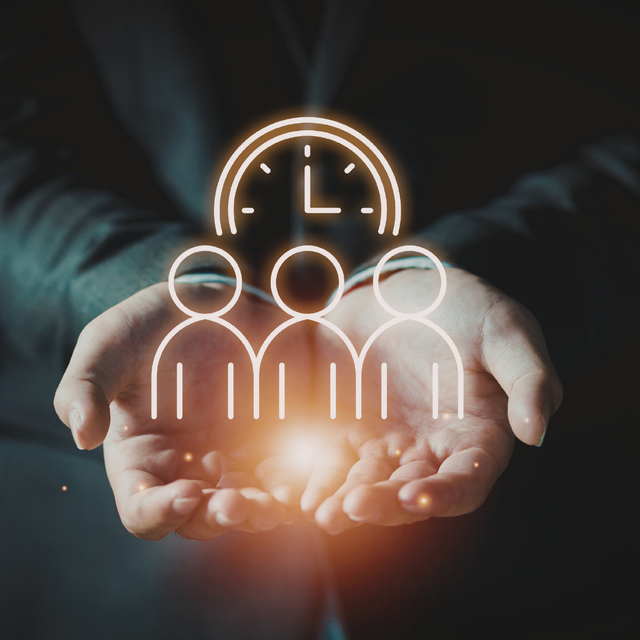 GESTIÓ DEL SERVEI D'AJUDA A DOMICILI - SAD - SUPORT A LA GESTIÓ