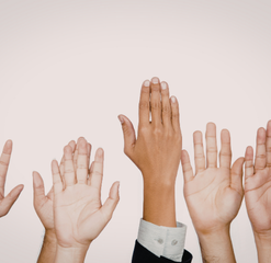 RESPONSABLE DE PROCESSOS I QUALITAT