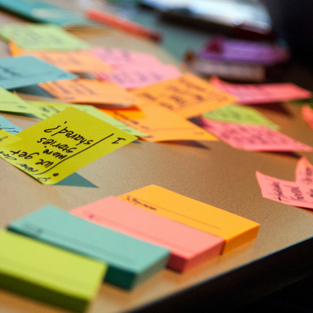 SUPORT A LA GESTIÓ PROJECTES DE VIDA