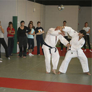 Jiujitsu DP