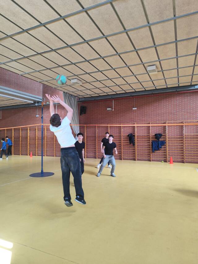 Patis actius – Torneig de voleibol 2 vs 2