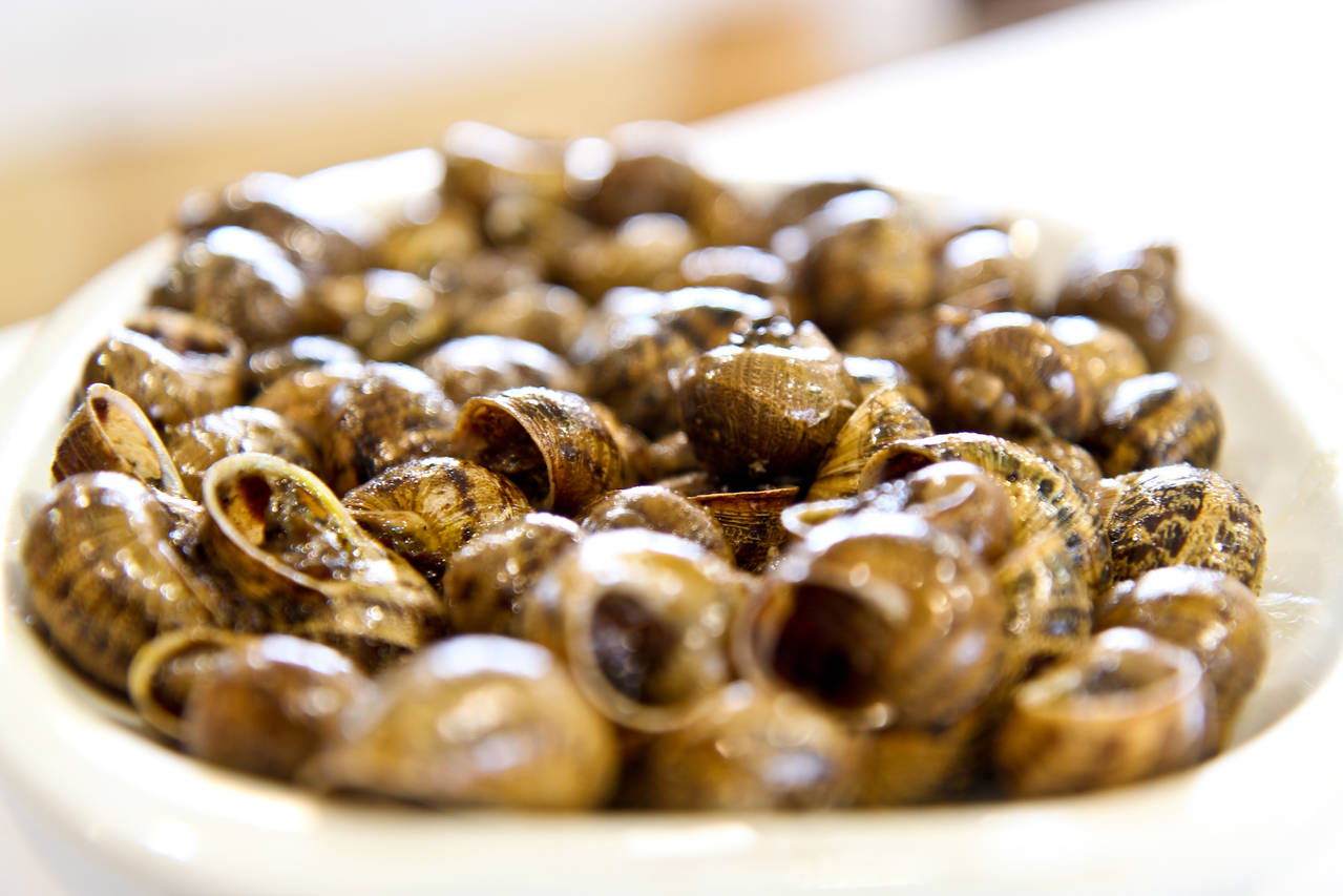 <span style="font-size: 14pt;"><strong>+info</strong></span>