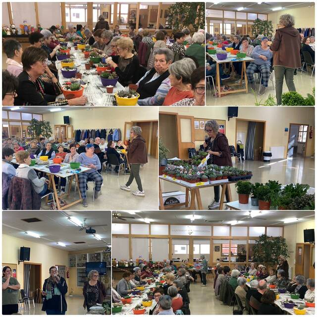 3a edició de Floreix Torregrossa