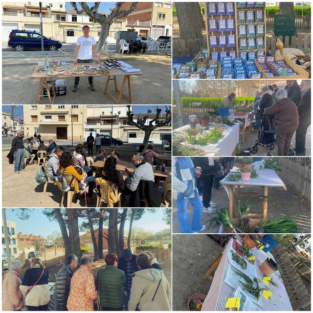 Mercadet d'intercanvi d'esqueixos i llavors i tast de plantes oblidades