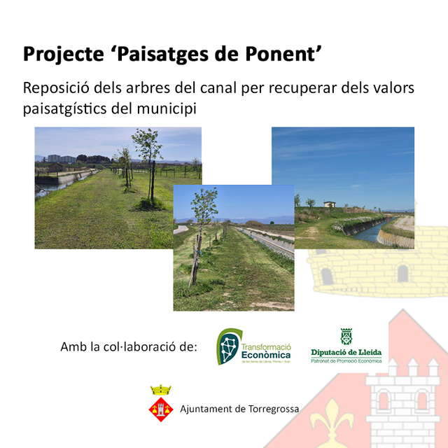 Projecte 'Paisatges de Ponent' a Torregrossa