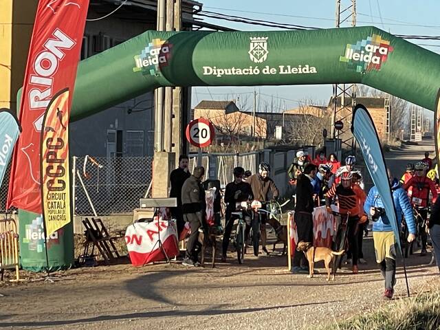 1r Canicròs i Canibtt de Bellvís