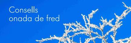 Consells onada de fred