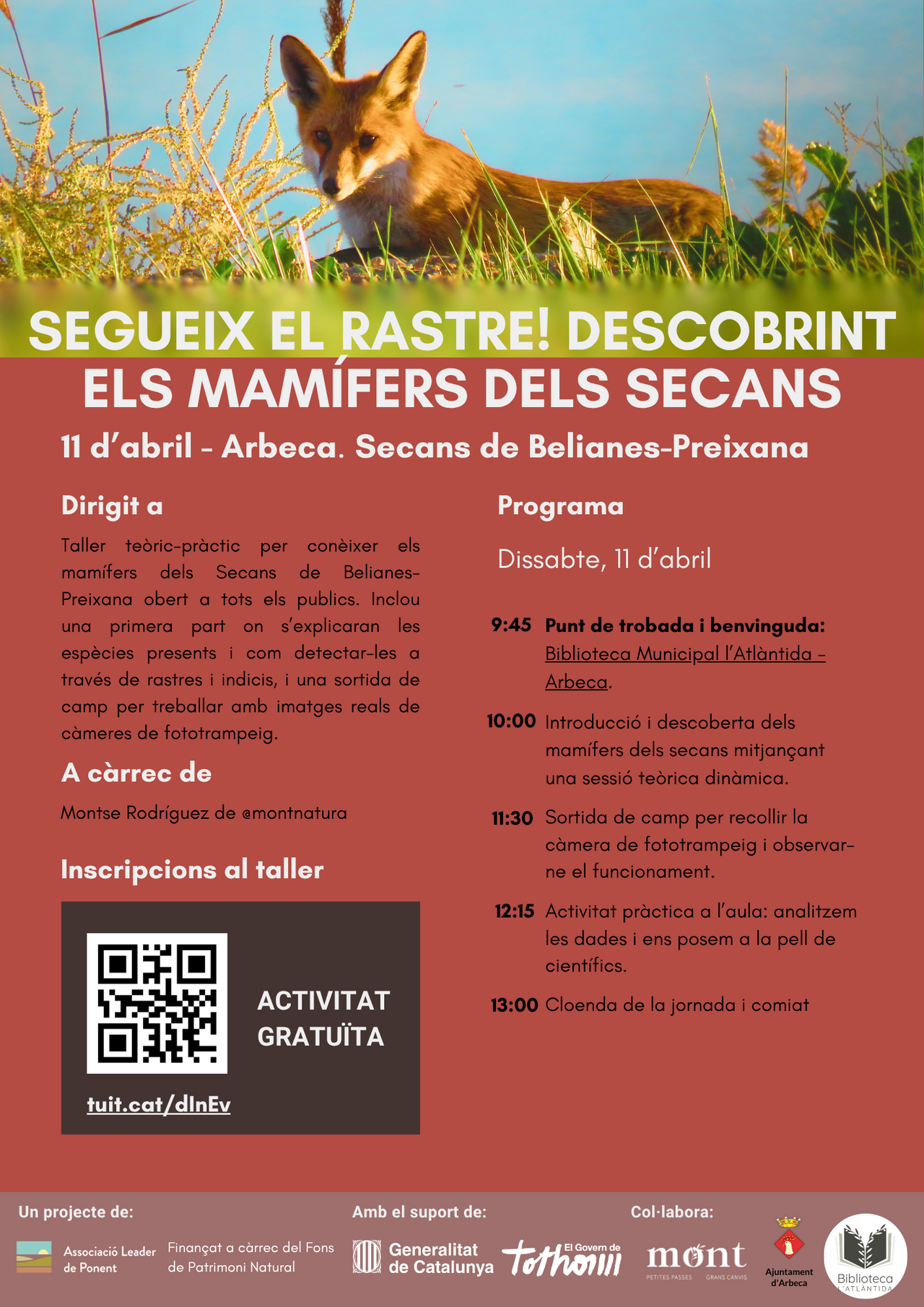 Biblioteca L'Atlàntida / Parc del Castell . Taller familiar: Mamífers presents als secans