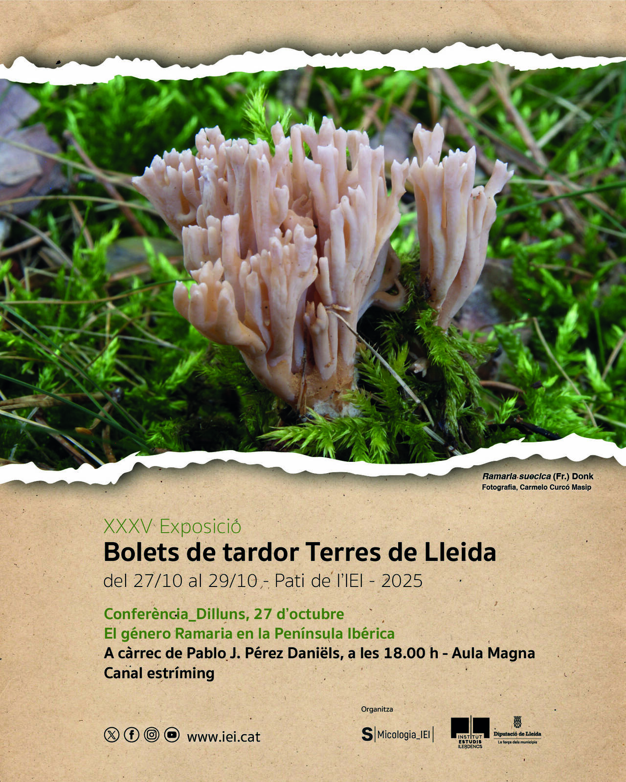 El género Ramaria en la Península Ibérica