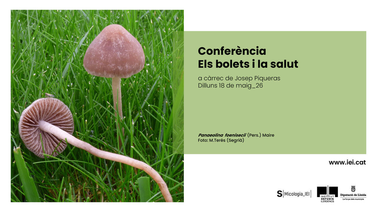 Els bolets i la salut’, a càrrec del metge, micòleg i toxicòleg Josep Piqueras