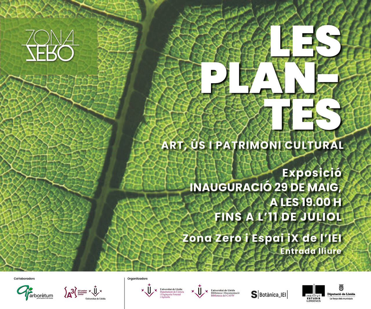 Exposició ‘Les plantes: art, ús i tradició cultural’