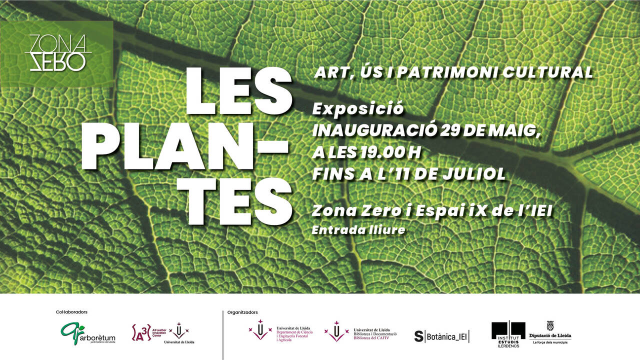 visita guiada exposició   Les plantes: art, ús i tradició cultural’