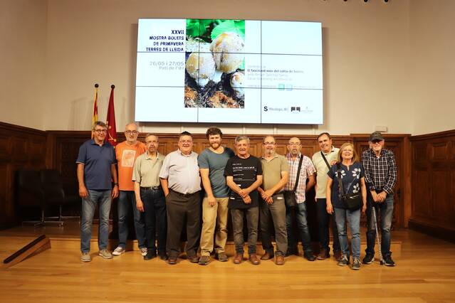 El fascinant món del cultiu de bolets