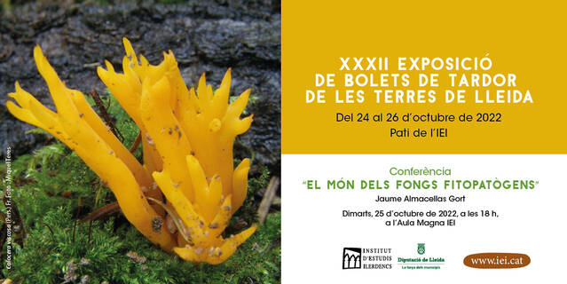 XXXII Exposició de Bolets de Tardor de les Terres de Lleida