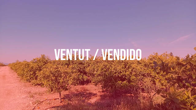 FINCA CÍTRICS - ALCANAR - REF. 3199.