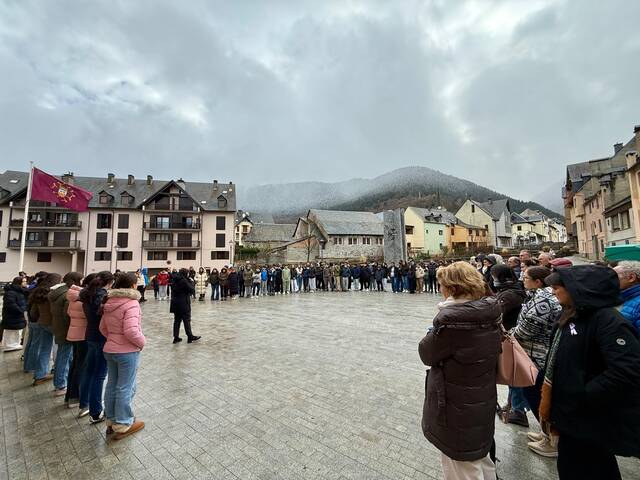 Día Internacionau pera eliminacion dera violéncia contra es hemnes