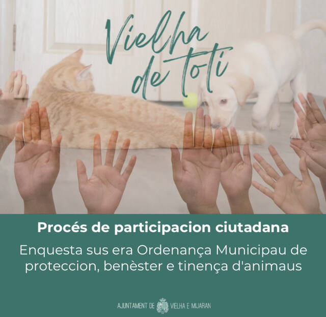 Er Ajuntament de Vielha e Mijaran trabalhe ena redaccion d’ua naua Ordenança municipau de proteccion, benèster e tinença responsabla des animaus de companhia