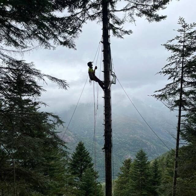 Era dinamizacion deth sector forestau ena Val d’Aran, protagonista d’ues jornades tecniques