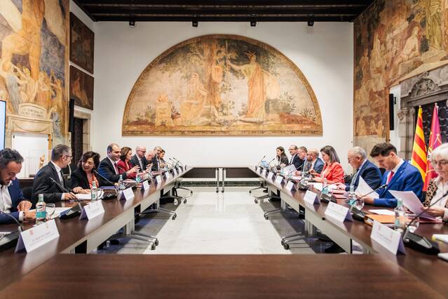 Eth Conselh Generau d’Aran tramitarà es declaracions de dependéncia e discapacitat