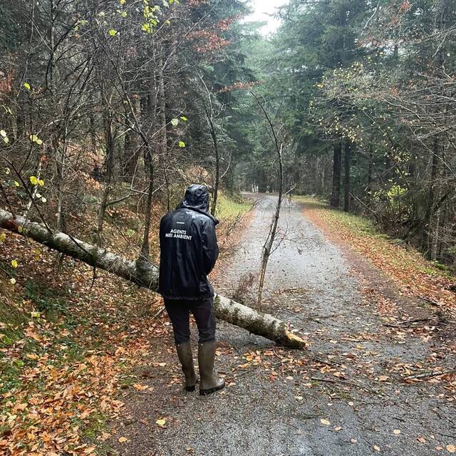 Fòrtes ventades provòquen grèus damatges materiaus en tota era Val d’Aran