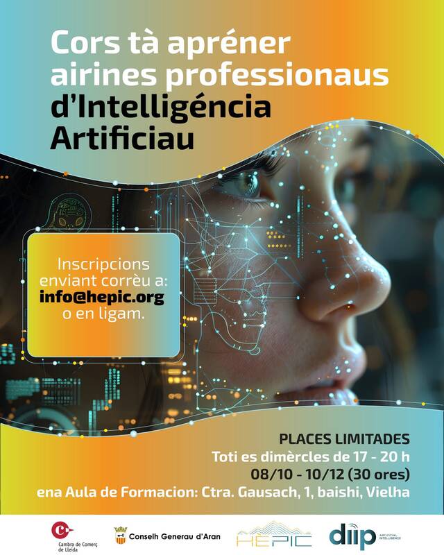 S’organize en Aran eth dusau cors d’airines professionaus d’intelligéncia artificiau