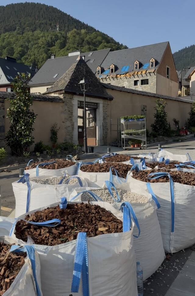 Vielha auance cap a un nau modèl de jardineria urbana damb era transformacion der entorn de Sant Miquèu