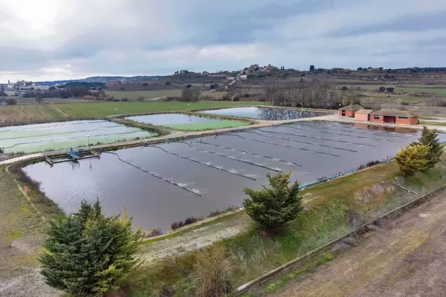 Acord amb ACA i CHE per recuperar el Torrent del Passerell de Guissona