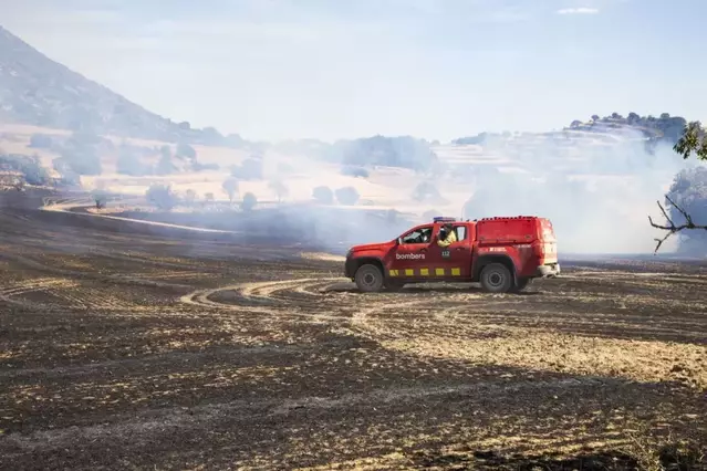 El primer incendi de l'estiu arrasa 52 hectàrees a Sanaüja