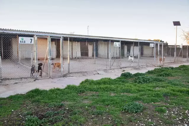 El refugi d’animals de la Segarra començarà a edificar-se aquest any