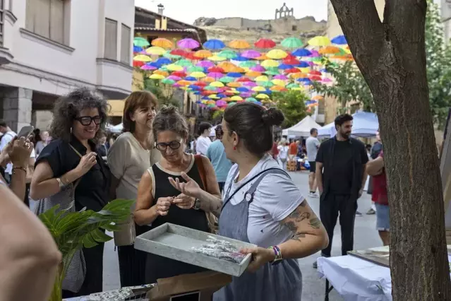 El Sanaüja Flea Market, un referent