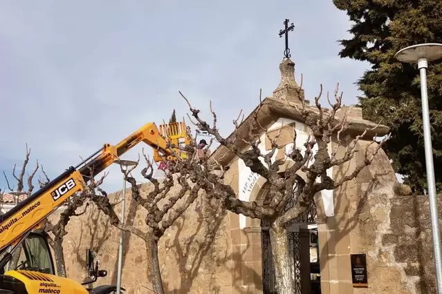 Els nous nínxols del cementiri de Guissona, disponibles a partir de març