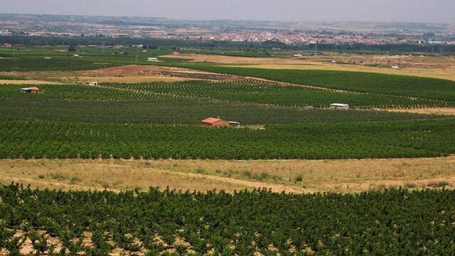 Ajuts als regants afectats per la sequera del 2024 per 2,8 milions