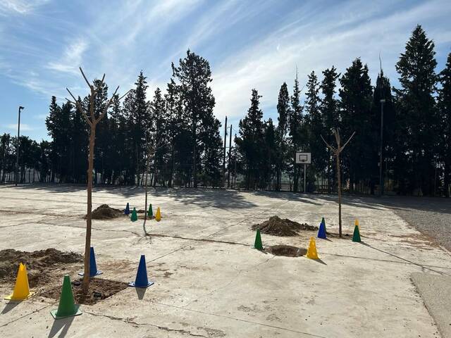 Arbeca planta arbres a les escoles i les piscines