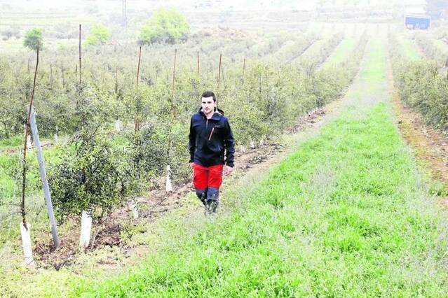 Augmenta l’interès per obtenir terres de cultiu