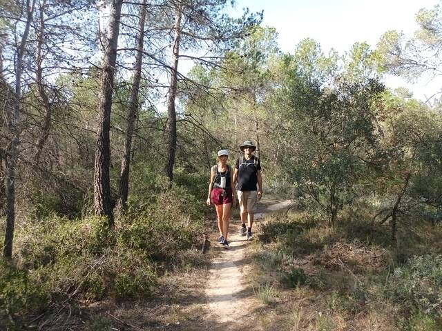 La destinació de Camins de Pedra assoleix el 62% d'ocupació a l'hivern