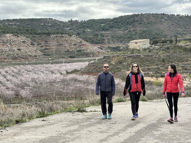 Castelldans convoca una caminada cultural per la floració dels ametllers