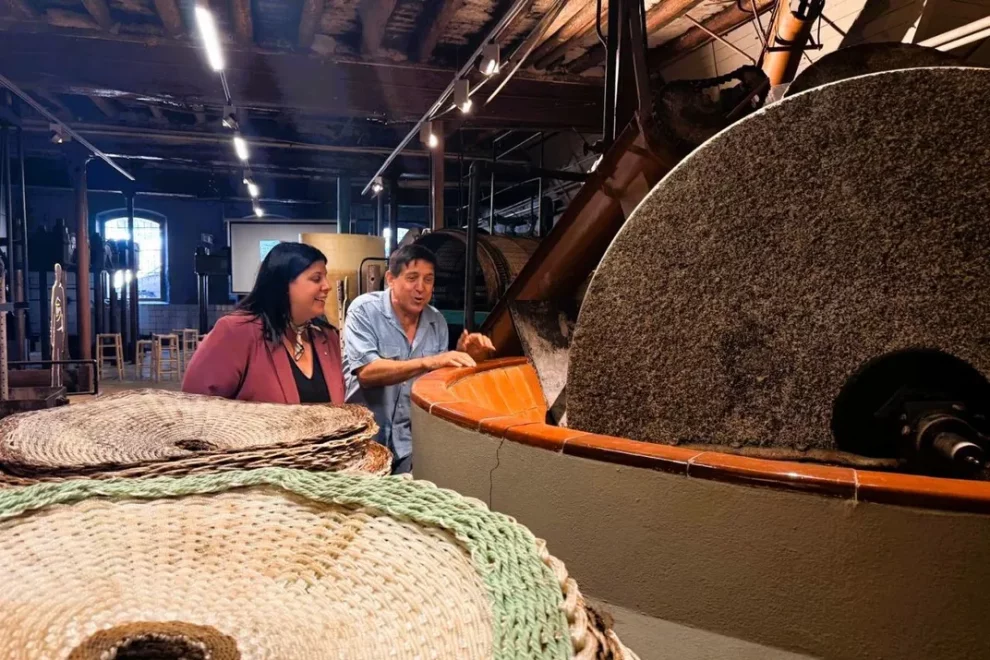 Compromís del Govern per promocionar l’oli