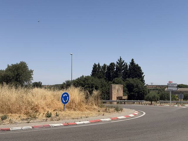 Crida a Carreteres per netejar la rotonda de les Borges a Arbeca