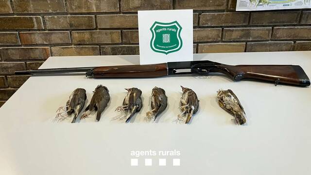 Decomissen una escopeta a Granyena perquè el caçador no recollia els cartutxos
