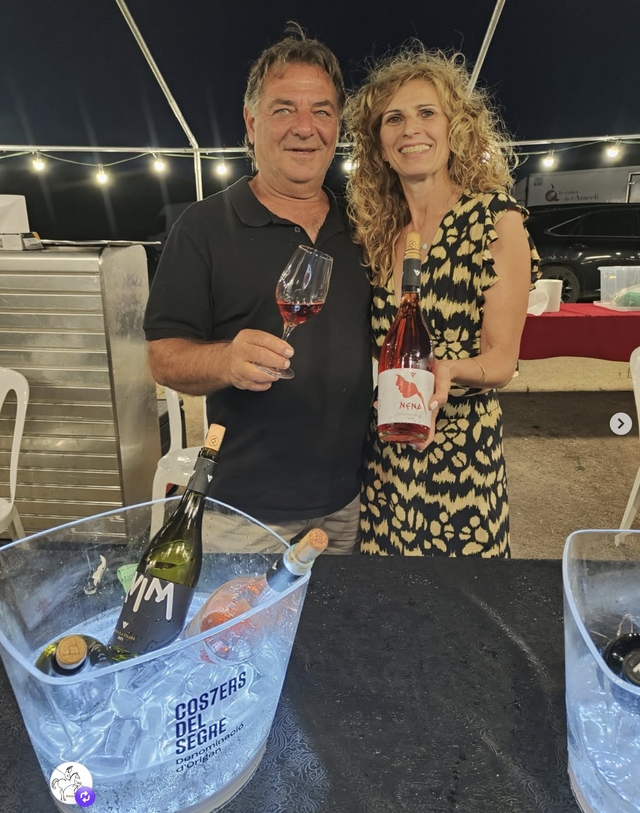 Dos vins de les Garrigues, entre els millors joves de l'any