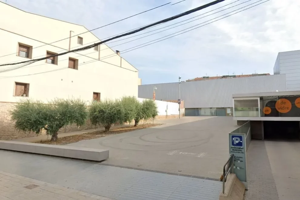 Dues famílies colliran les oliveres municipals de les Borges